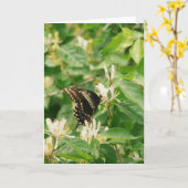 蝶 カード (黄色い花)