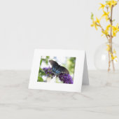 蝶 カード (黄色い花)