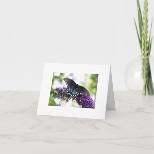 蝶 カード (正面)