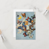 蝶 カード (正面/裏面インサイチュ)