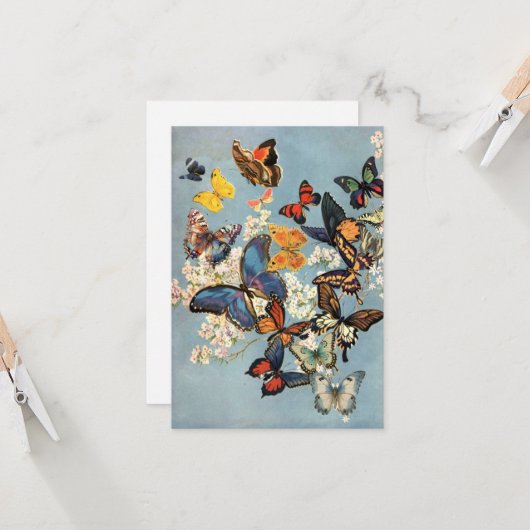 蝶 カード (正面/裏面インサイチュ)