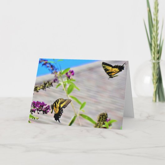 蝶、カード カード (正面)