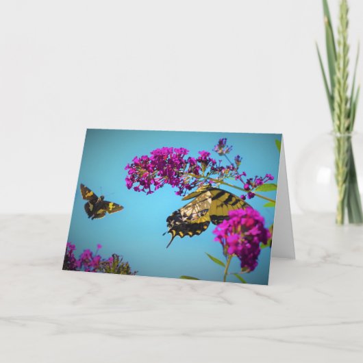 蝶、カード カード (正面)