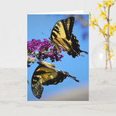 蝶、カード カード (黄色い花)