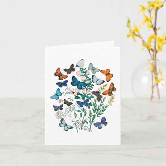 蝶 – カー空白のド カード (黄色い花)