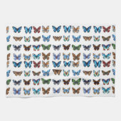 蝶 キッチンタオル (横)