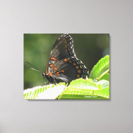 蝶 キャンバスプリント