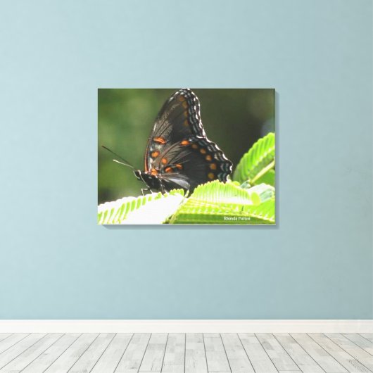 蝶 キャンバスプリント (インサイチュ (ウッドフロア))