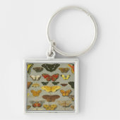 蝶 キーホルダー (正面)