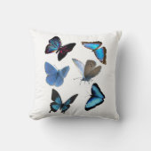 蝶 クッション (正面)