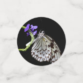 蝶 コンフェッティ (スモール正面)