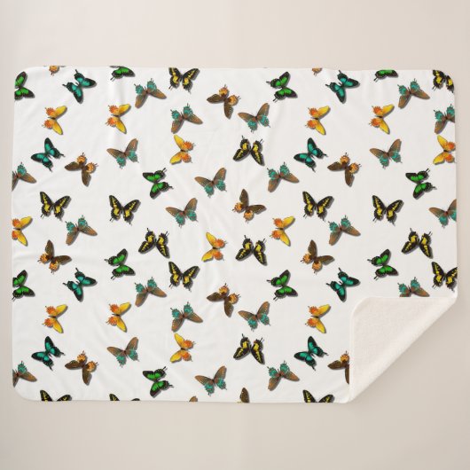 蝶 シェルパブランケット (正面(横))