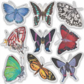 蝶（シート1蝶のアルファベット） シール (正面)