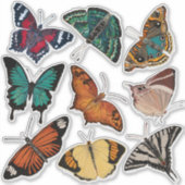 蝶（シート3蝶のアルファベット） シール (正面)