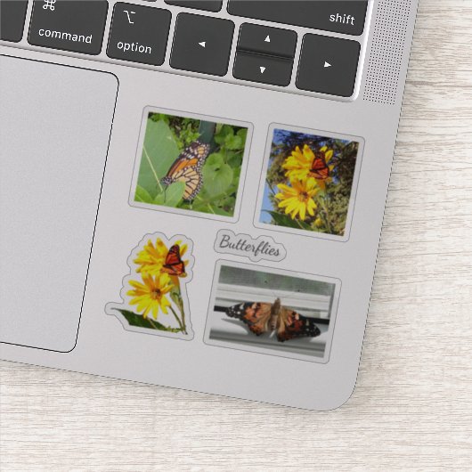 蝶 シール (詳細)