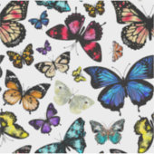 蝶 シール (正面)