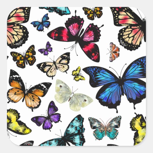 蝶 スクエアシール (正面)