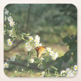 蝶 スクエアペーパーコースター