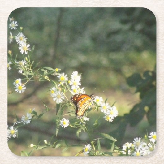 蝶 スクエアペーパーコースター (正面)