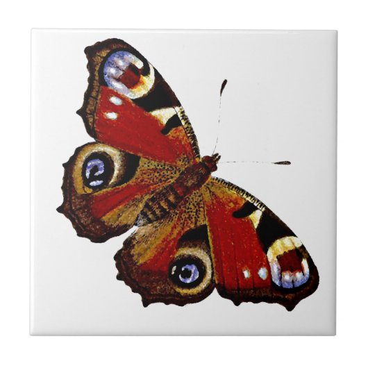 蝶 タイル (正面)