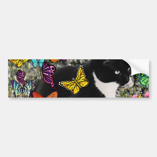 蝶-タキシードの子猫のそばかす バンパーステッカー (正面)