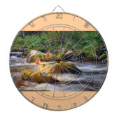 蝶 ダーツボード (正面)