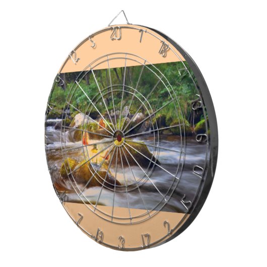 蝶 ダーツボード (正面右)