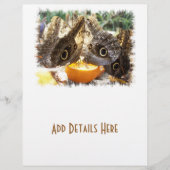 蝶 チラシ (正面)