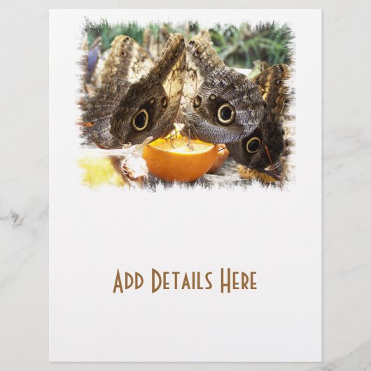 蝶 チラシ (正面)