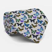 蝶 ネクタイ (ロール)