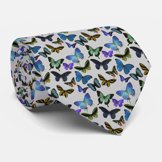 蝶 ネクタイ (ロール)