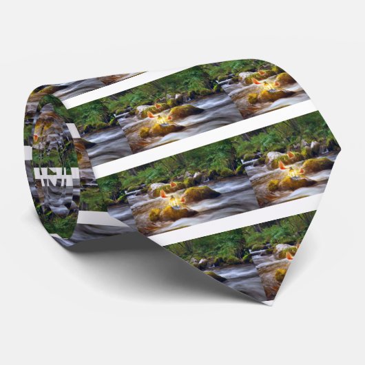 蝶 ネクタイ (ロール)