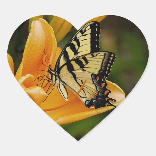 蝶 ハートシール (正面)