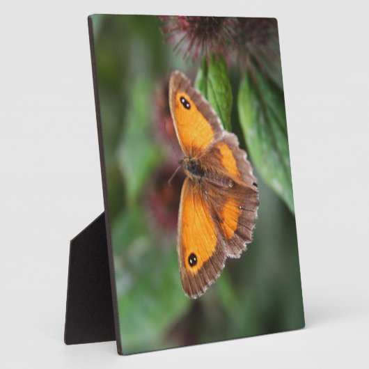 蝶 フォトプラーク (側面)