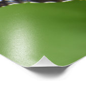 蝶 フォトプリント            (角)