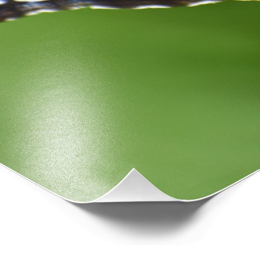 蝶 フォトプリント            (角)