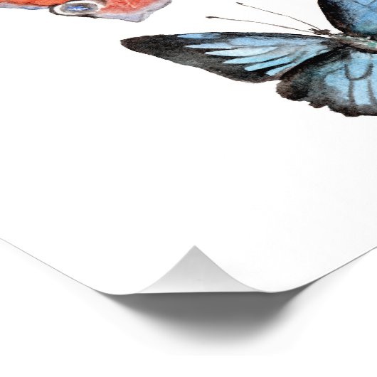 蝶 フォトプリント            (角)