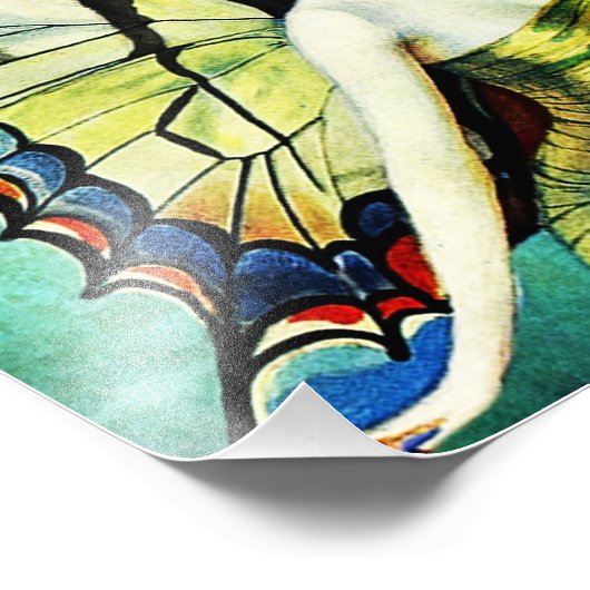 蝶 フォトプリント            (角)