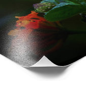 蝶 フォトプリント            (角)