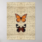 蝶 ポスター (正面)