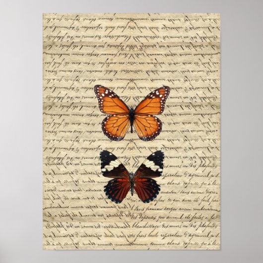 蝶 ポスター (正面)