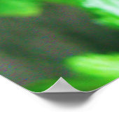 蝶 ポスター (角)