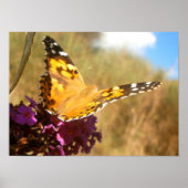 蝶. ポスター (正面)