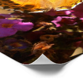 蝶. ポスター (角)