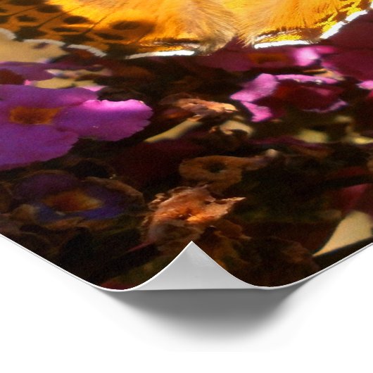 蝶. ポスター (角)