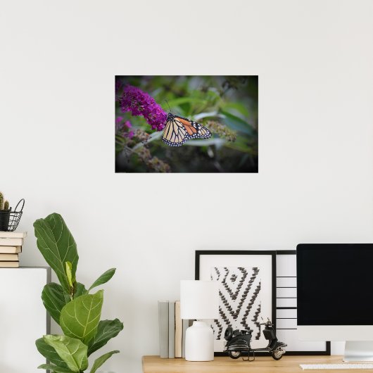 蝶, ポスター (ホームオフィス)