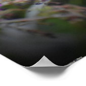 蝶, ポスター (角)