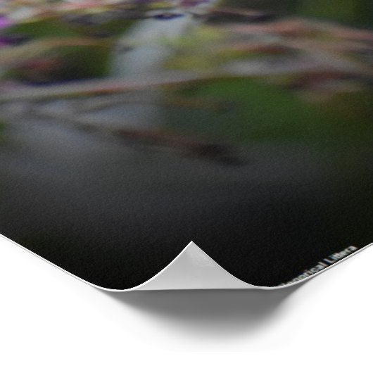 蝶, ポスター (角)