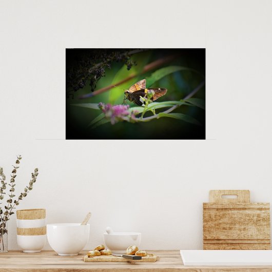蝶, ポスター (キッチン)