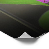 蝶, ポスター (角)